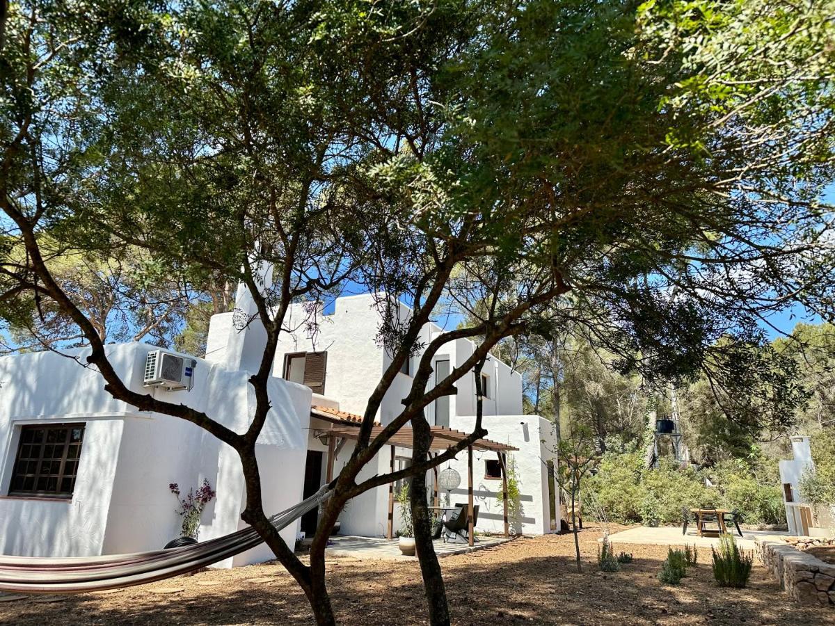 Spacious & Luxury Villa In Ibiza - Santa Gertrudis - Villa Chiquita Exteriér fotografie